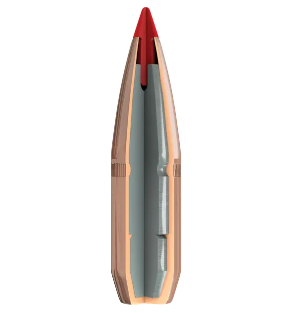 1410991136-SST-bullet-illustration—cutaway (1)